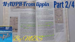 Lippincott chap 13  NADPH uses  part 2 of 4 [upl. by Stalder]