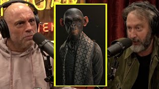 The Story About The Chimp Human Hybrid  Joe Rogan amp Tom Green [upl. by Lavotsirc562]