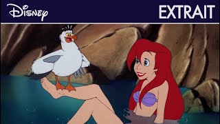 La Petite Sirène  Extrait  De nouvelles jambes  Disney [upl. by Aicertap]