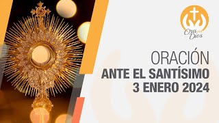 Adoración al Santísimo Miércoles 3 Enero de 2024 Padre Wilson Lopera 🙏 Ora Con Dios [upl. by Avehstab607]