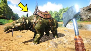 I Started Farming And Tamed A Phiomia  ARK Survival Evolved  Part 25 [upl. by Ecirtnas]