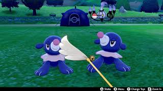 Singing Shiny Popplio Brionne and Primarina Liquid Voice Edition Double Shiny Popplio [upl. by Acinnor]