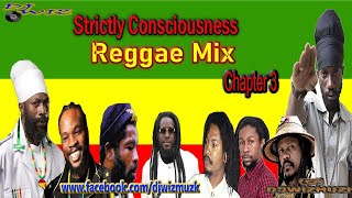 Strictly consciousness Reggae mix volume 3 Clean Reggae 90s Conscious Reggae music mix [upl. by Nitsoj]