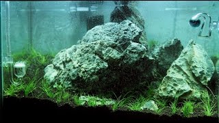 Nano Iwagumi Aquascape quotThe Big Onequot ADA Mini M  Step by Step [upl. by Cumine96]