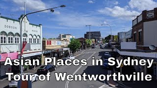 Tour of WENTWORTHVILLE NSW  Little India  Asian Places in Sydney [upl. by Conall]