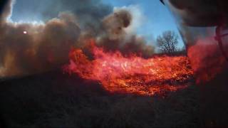 Extreme botany  Flame Spread in a grass fire [upl. by Murdock]