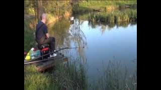 Catching barbel at Makins fishery [upl. by Airamanna]