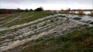 River Hull overtopping 261112 [upl. by Aehcim]