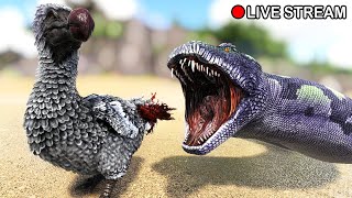 🐍Ark Play as Titanoboa  On Axeman Play as Dino server Live Stream [upl. by Ninaj518]