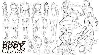 🙌🏻 BODY ANATOMY POSE CLASS  quotA to Zquot TUTORIAL  🙌🏻 [upl. by Novelia]