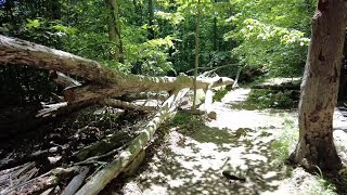 Catoctin Mountain Park Maryland  Falls Nature Trail 2022 [upl. by Aical]