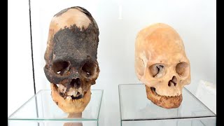 Face to Face with the Elongated Skulls of Paracas [upl. by Shaner141]