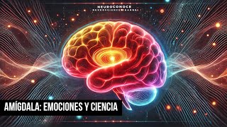 Cómo la Amígdala Impacta Tus Emociones La Ciencia Detrás de Cada Reacción [upl. by Gerek]