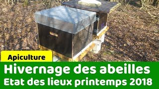 Sortie dhivernage pour les abeilles [upl. by Pierette]