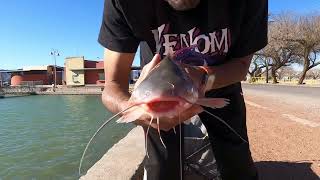 Ascarate Lake Fishing for catfish March 4 2024 IMG 4593 [upl. by Zosima51]