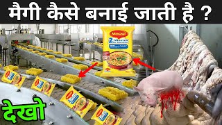 देखिए फैक्ट्री में Maggi कैसे बनती है   Maggi Making Process  Maggi Kaise Banti Hai [upl. by Arret]