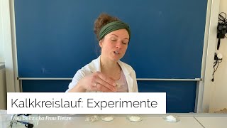 Chemie Kl 9  Technischer Kalkkreislauf  Teil 1  Experimente [upl. by Eliott1]