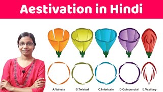 Aestivation in Hindi [upl. by Liw]