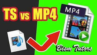 Como converter o formato de contêiner TS para o MP4 rápido [upl. by Menendez]