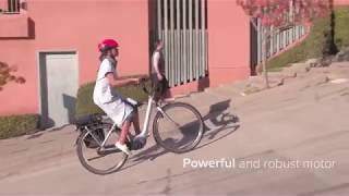 The New and Improved Gazelle Arroyo Electric Bike [upl. by Bj]