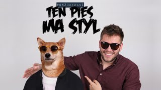 TEN PIES MA STYL  Poszukiwacz 300 [upl. by Pendergast]