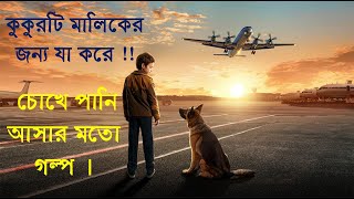 A Dog Named Palma 2021  Bangla Explain  Movie  Emotional  Russian  CineExplain in Bangla [upl. by Draillih]