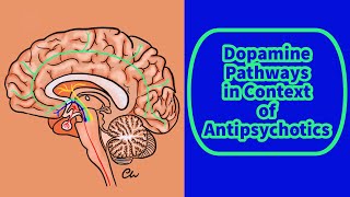 Dopamine Pathways In Context Of Antipsychotics [upl. by Eirak]