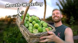 Growing Tomatillos from SEED to HARVEST and How To Use Them 🤤 [upl. by Kelson344]