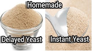 Homemade instant yeast amp Delayed yeast recipeHomemade yeast recipeHow to prepare yeast at home [upl. by Pember]