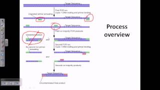 XHTML and CSS Tutorial  6  Adding Links to our Webpage [upl. by Kellen435]