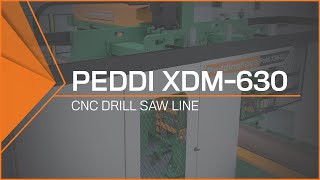 CNC Drill Saw Line  Peddi XDM630 MultiSpindle Drilling [upl. by Nitza]