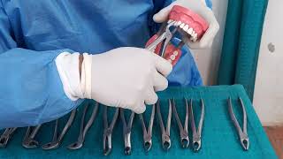 FORCEPS PART 1 dentist [upl. by Arayc]