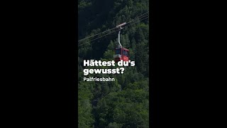 Hättest dus gewusst Fakten zur Palfriesbahn im Heidiland [upl. by Htomit167]