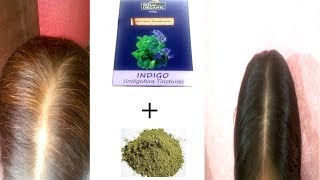 Dye Hair Black NATURALLY with Henna amp Indigo Powder  Change White Hair To Black Hair Naturally [upl. by Arlene]