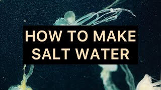 HOW TO MAKE SALT WATER [upl. by Aker56]