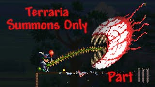 Terraria Summons Only Part 3 [upl. by Wendelin]