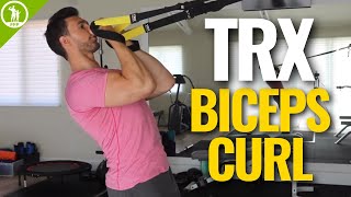 TRX Biceps Curl BODYWEIGHT BICEP EXERCISES [upl. by Rube]