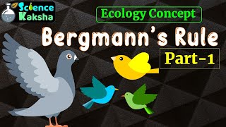 Bergmanns Rule Part1  CSIR NET ECOLOGY In Hindi [upl. by Mccallum960]