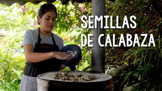 SEMILLAS DE CALABAZA TOSTADAS  Recetas fáciles Pizca de Sabor [upl. by Oniskey860]