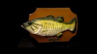 Gemmy Billy Bass Animatronic Fish Singing quotDont Worry be happywmv [upl. by Hanny]