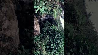 Living nature cinematic travel hiking waterfall [upl. by Dayiz790]