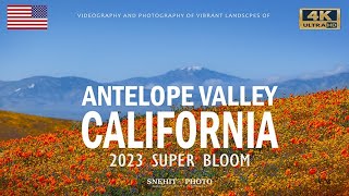 ANTELOPE VALLEY CALIFORNIA 4K UHD  PHOTOGRAPHY amp VIDEOGRAPHY [upl. by Enahpad912]