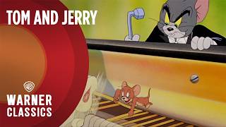 Tom and Jerry  The Cat Concerto 1947 Full Episode  Warner Classics [upl. by Ahtoelc]