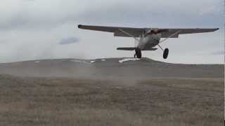 Cessna 180 landing short in windy conditions [upl. by Barby135]