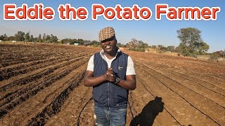 Potato farming amp fish farming 🐟 at King Fisher Park Emerald Hill Harare Zimbabwe farming zimbabwe [upl. by Ainelec183]