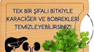 TEK BİR ŞİFALI BİTKİYLE KARACİĞER VE BÖBREKLERİ TEMİZLEYEBİLİRSİNİZ [upl. by Whitver616]