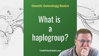 What is a Haplogroup  Genetic Genealogy Explained [upl. by Gates]