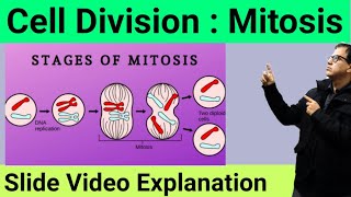 Cell Division Mitosis  Karyokinesis and Cytokinesis  Phases of Mitosis  Sir Tarun Rupani [upl. by Kathye]