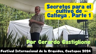 Secretos para el Cultivo de orquídea catleya parte 1 Gerardo Castiglione [upl. by Ariik]