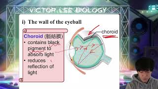 HKDSE Biology Detection of stimuli in humans Part 1 [upl. by Calan]